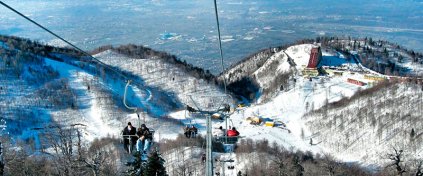 Tur Acente Sitesi Yazılımı - Hazır Tur Acente Sitesi - Turizm Acente Yazılımı