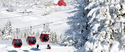 Tur Acente Sitesi Yazılımı - Hazır Tur Acente Sitesi - Turizm Acente Yazılımı